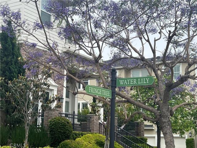 42 Fringe Tree, Irvine, CA 92606