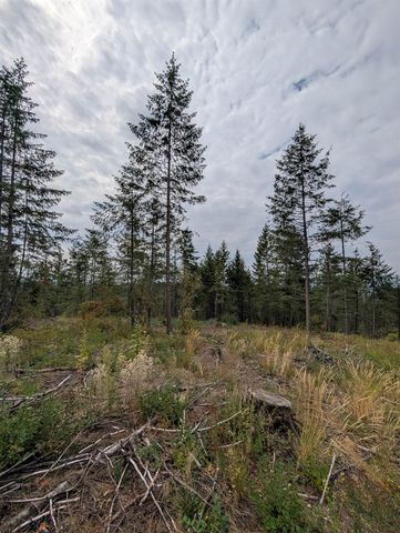 XX E Deer Creek Rd, Chattaroy, WA 99003