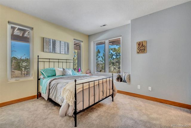 5651 Silver Bluff Court, Parker, CO 80134