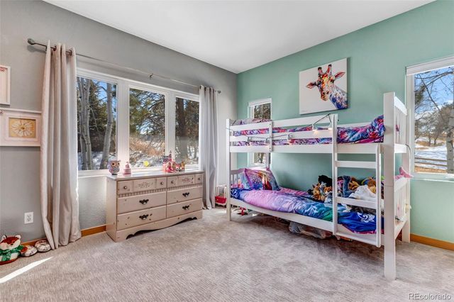 5651 Silver Bluff Court, Parker, CO 80134