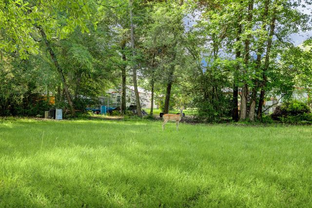 9193 Lucille Lane, Conroe, TX 77384