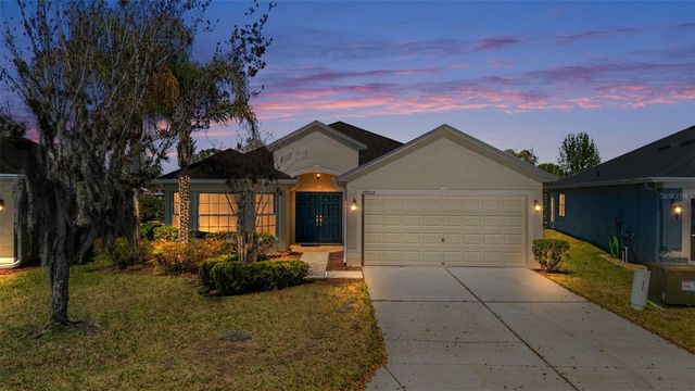 29232 COHARIE LOOP, San Antonio, FL 33576