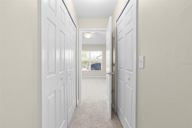 29232 COHARIE LOOP, San Antonio, FL 33576