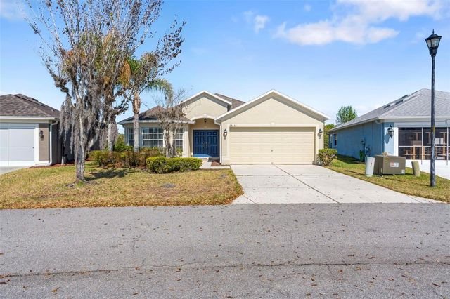 29232 COHARIE LOOP, San Antonio, FL 33576