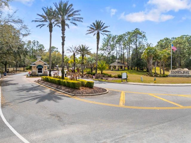 29232 COHARIE LOOP, San Antonio, FL 33576