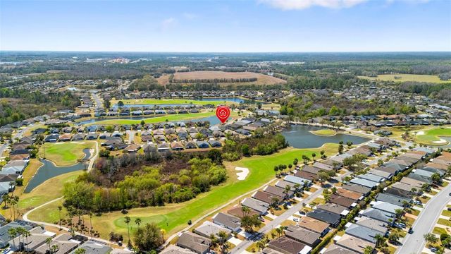 29232 COHARIE LOOP, San Antonio, FL 33576