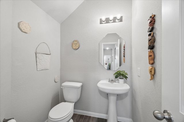 23659 Rainbow Eucalyptus Drive, Spring, TX 77373