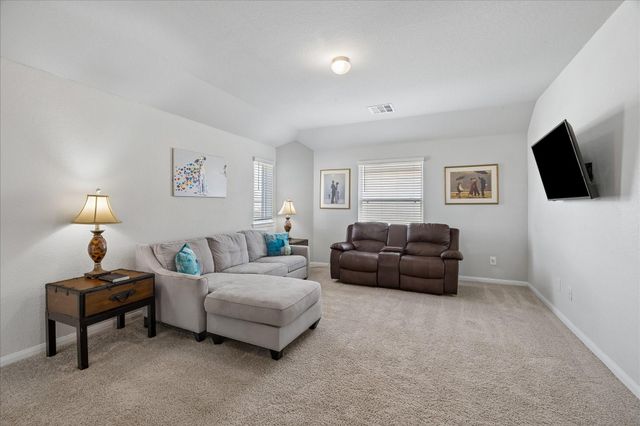 23659 Rainbow Eucalyptus Drive, Spring, TX 77373