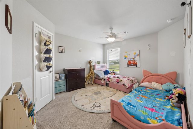 23659 Rainbow Eucalyptus Drive, Spring, TX 77373
