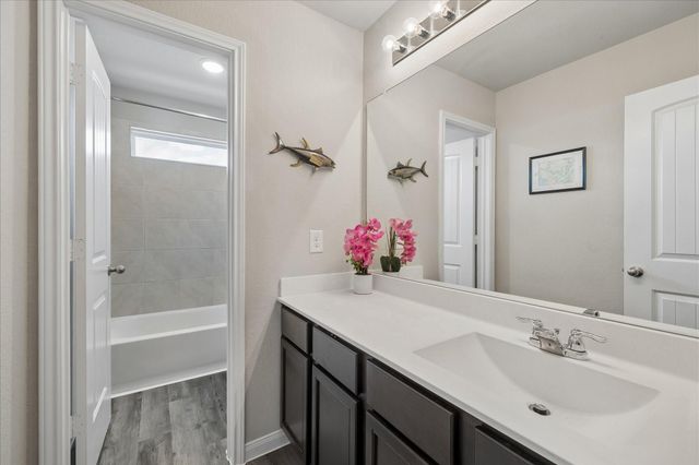 23659 Rainbow Eucalyptus Drive, Spring, TX 77373