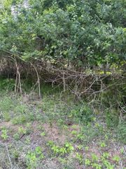 Lot 959 Riverside DR, Bastrop, TX 78602