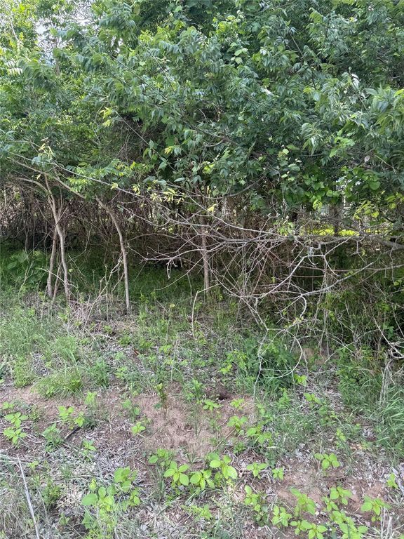 Lot 959 Riverside DR, Bastrop, TX 78602