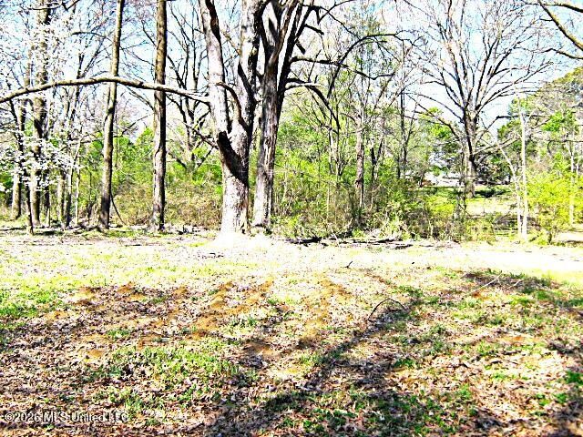 3630 Debbie Lane, Olive Branch, MS 38654