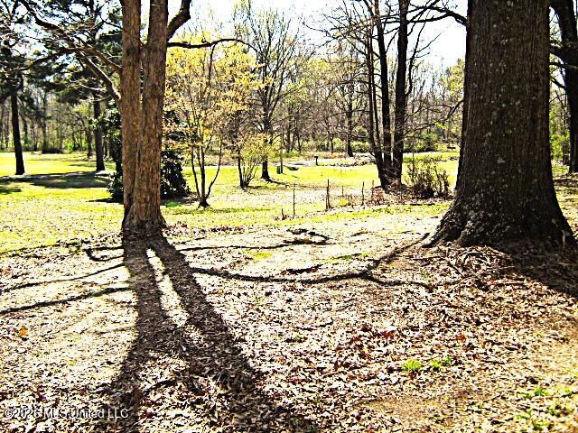 3630 Debbie Lane, Olive Branch, MS 38654