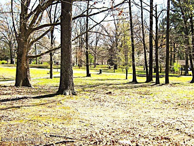 3630 Debbie Lane, Olive Branch, MS 38654