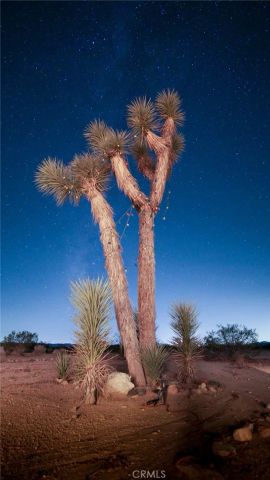 66750 Pole Line Road, Joshua Tree, CA 92252