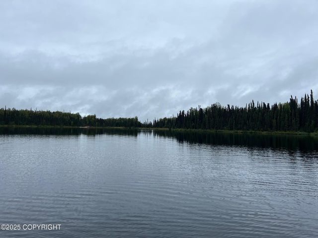 27460 S Baldy Bluff Drive, Talkeetna, AK 99676