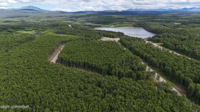 27460 S Baldy Bluff Drive, Talkeetna, AK 99676