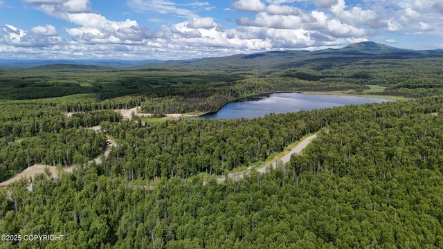 27460 S Baldy Bluff Drive, Talkeetna, AK 99676