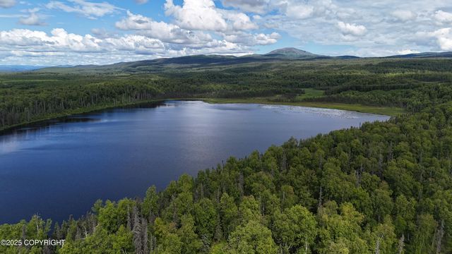 27460 S Baldy Bluff Drive, Talkeetna, AK 99676