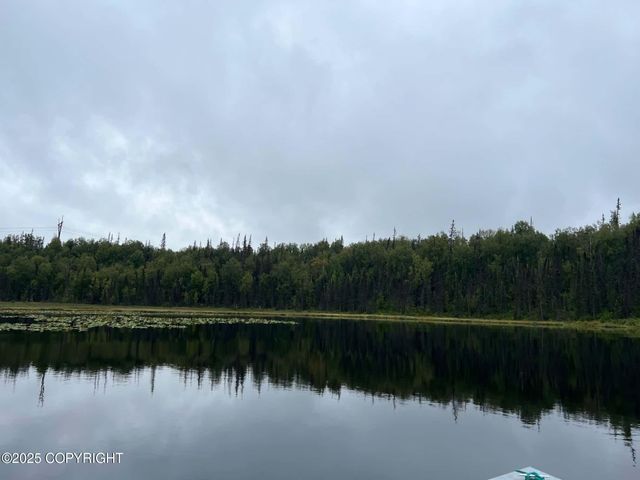 27460 S Baldy Bluff Drive, Talkeetna, AK 99676