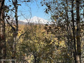27460 S Baldy Bluff Drive, Talkeetna, AK 99676