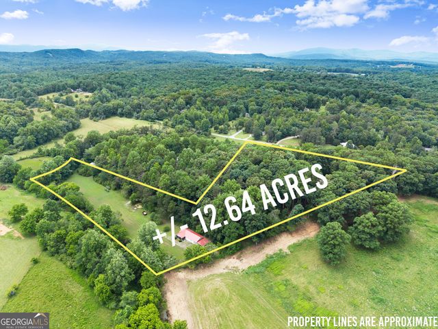 2290 Alec Mountain Road, Clarkesville, GA 30523