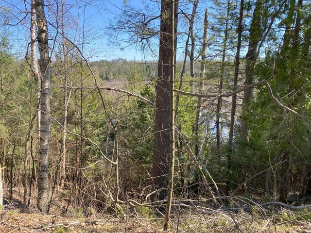 Lot 22 Spikehorn Trail, Indian River, MI 49749