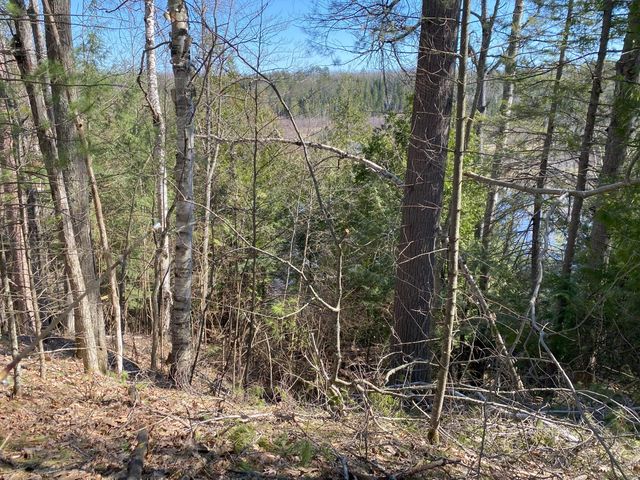 Lot 22 Spikehorn Trail, Indian River, MI 49749