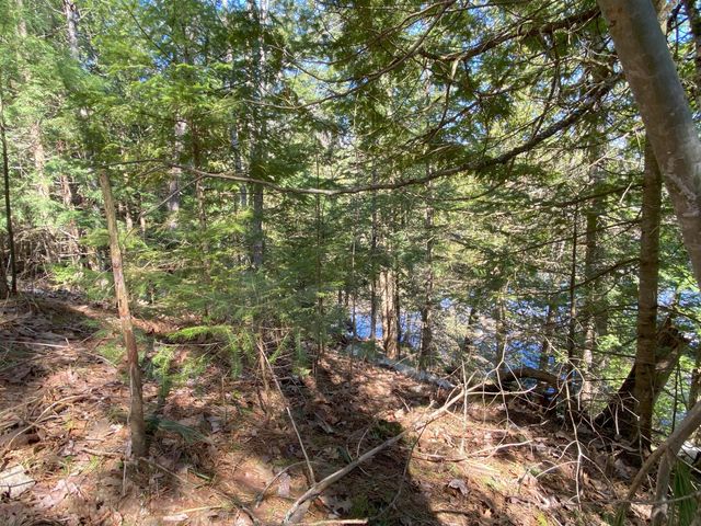 Lot 22 Spikehorn Trail, Indian River, MI 49749