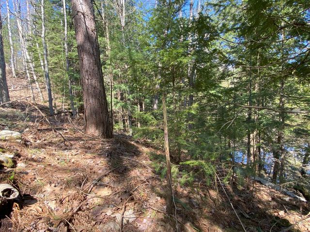 Lot 22 Spikehorn Trail, Indian River, MI 49749