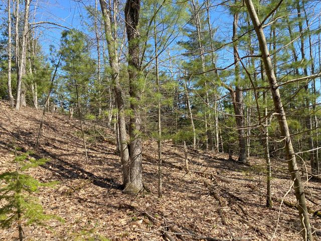 Lot 22 Spikehorn Trail, Indian River, MI 49749