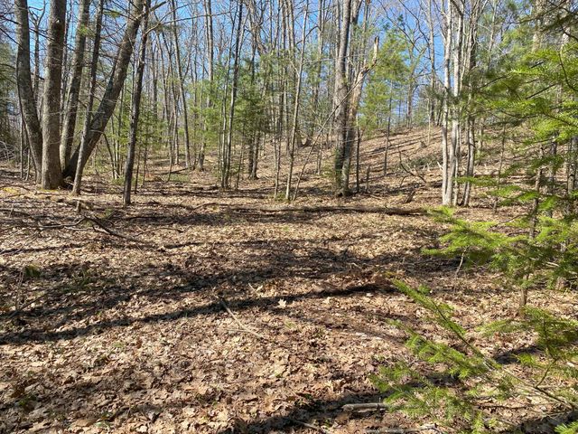 Lot 22 Spikehorn Trail, Indian River, MI 49749