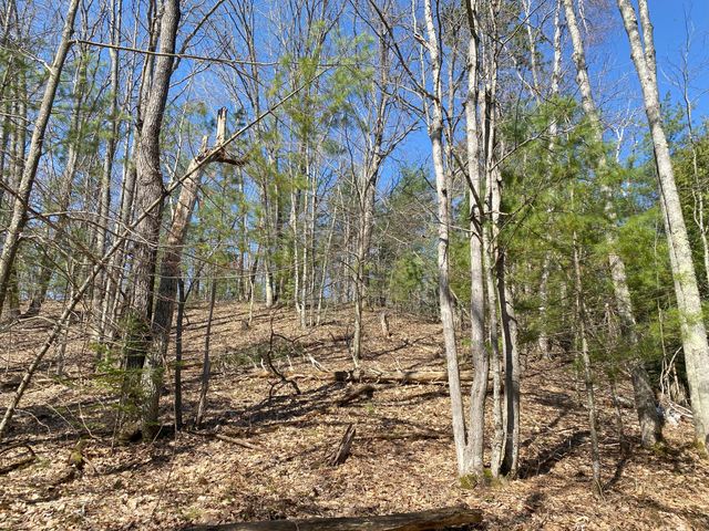 Lot 22 Spikehorn Trail, Indian River, MI 49749