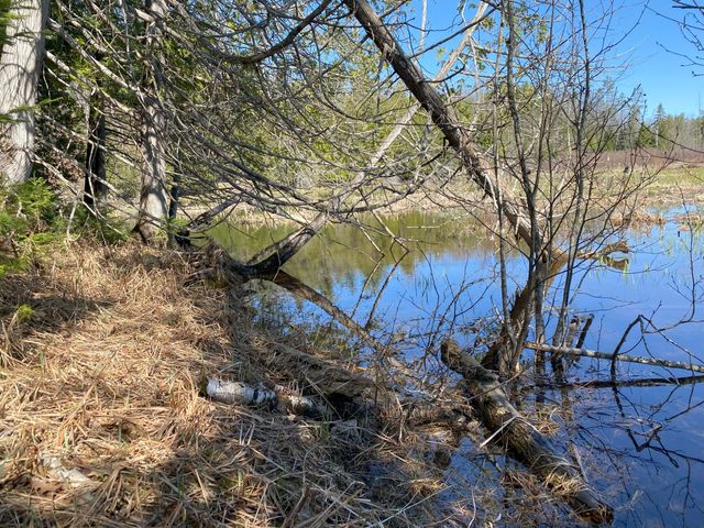 Lot 22 Spikehorn Trail, Indian River, MI 49749