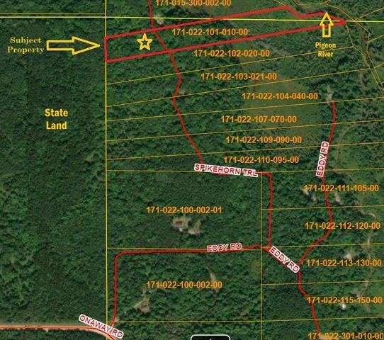 Lot 22 Spikehorn Trail, Indian River, MI 49749