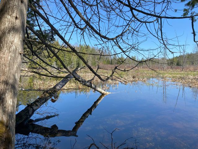 Lot 22 Spikehorn Trail, Indian River, MI 49749