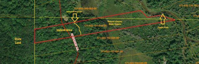 Lot 22 Spikehorn Trail, Indian River, MI 49749