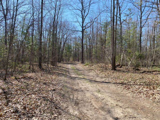 Lot 22 Spikehorn Trail, Indian River, MI 49749