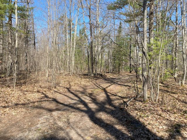 Lot 22 Spikehorn Trail, Indian River, MI 49749
