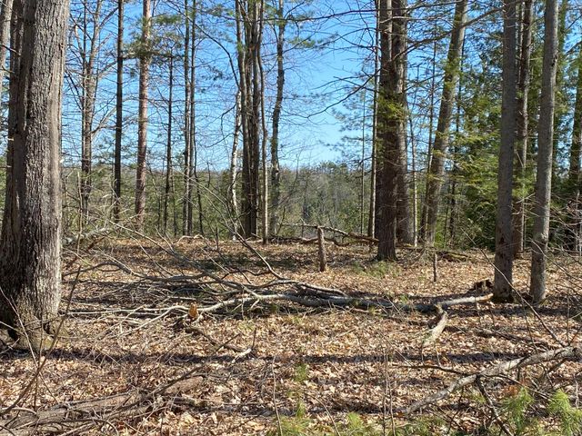Lot 22 Spikehorn Trail, Indian River, MI 49749