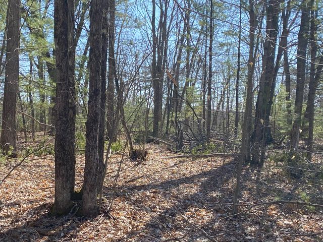 Lot 22 Spikehorn Trail, Indian River, MI 49749