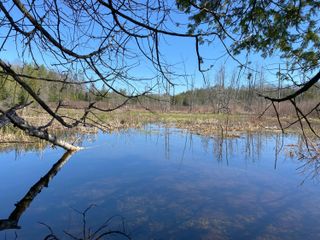 Lot 22 Spikehorn Trail, Indian River, MI 49749