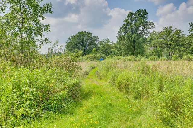 10188 Blueberry Trail, Rushseba Twp, MN 55069