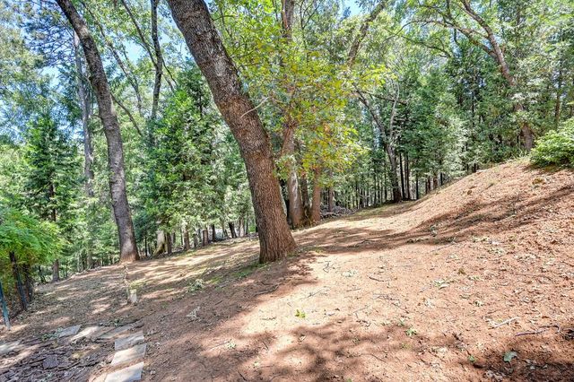 6564 Green Leaf Ln, Foresthill, CA 95631
