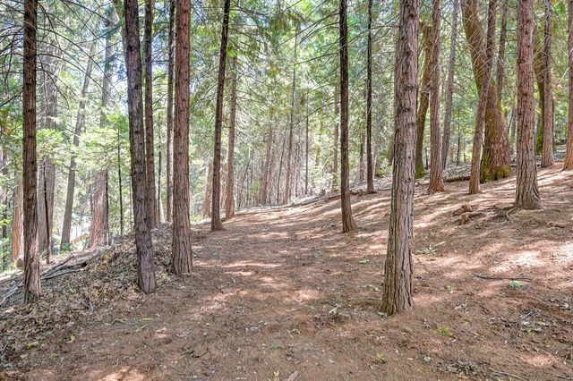 6564 Green Leaf Ln, Foresthill, CA 95631