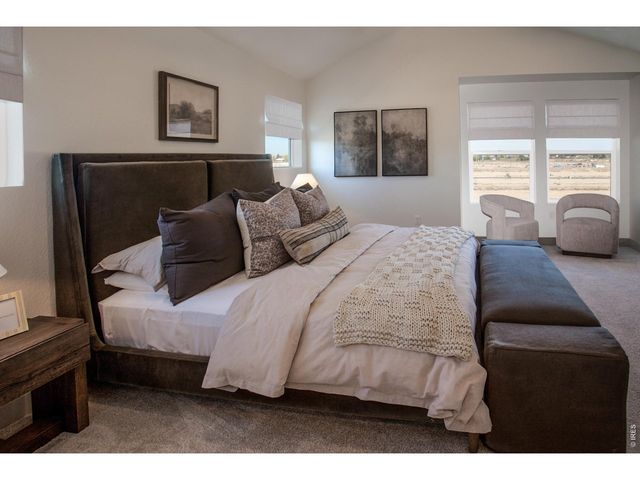 5349 Blainville St, Timnath, CO 80547