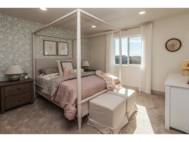 5349 Blainville St, Timnath, CO 80547
