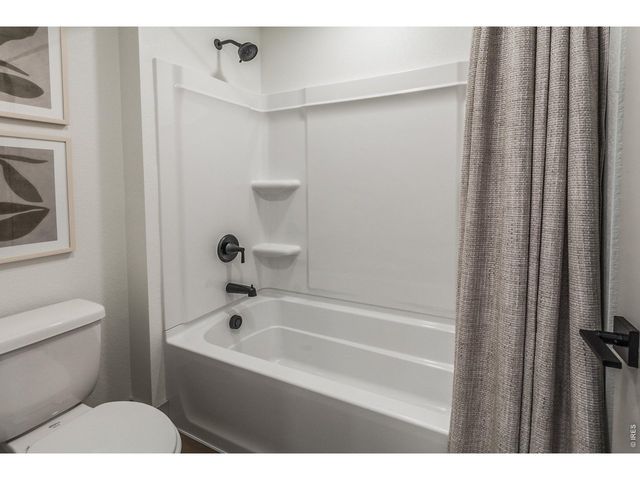 5349 Blainville St, Timnath, CO 80547
