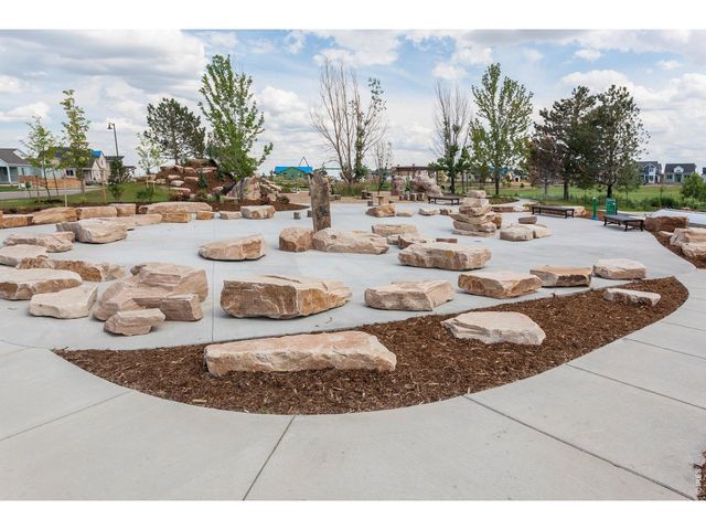 5349 Blainville St, Timnath, CO 80547